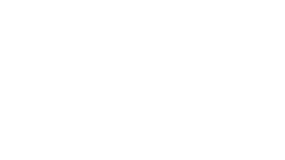 Ottika