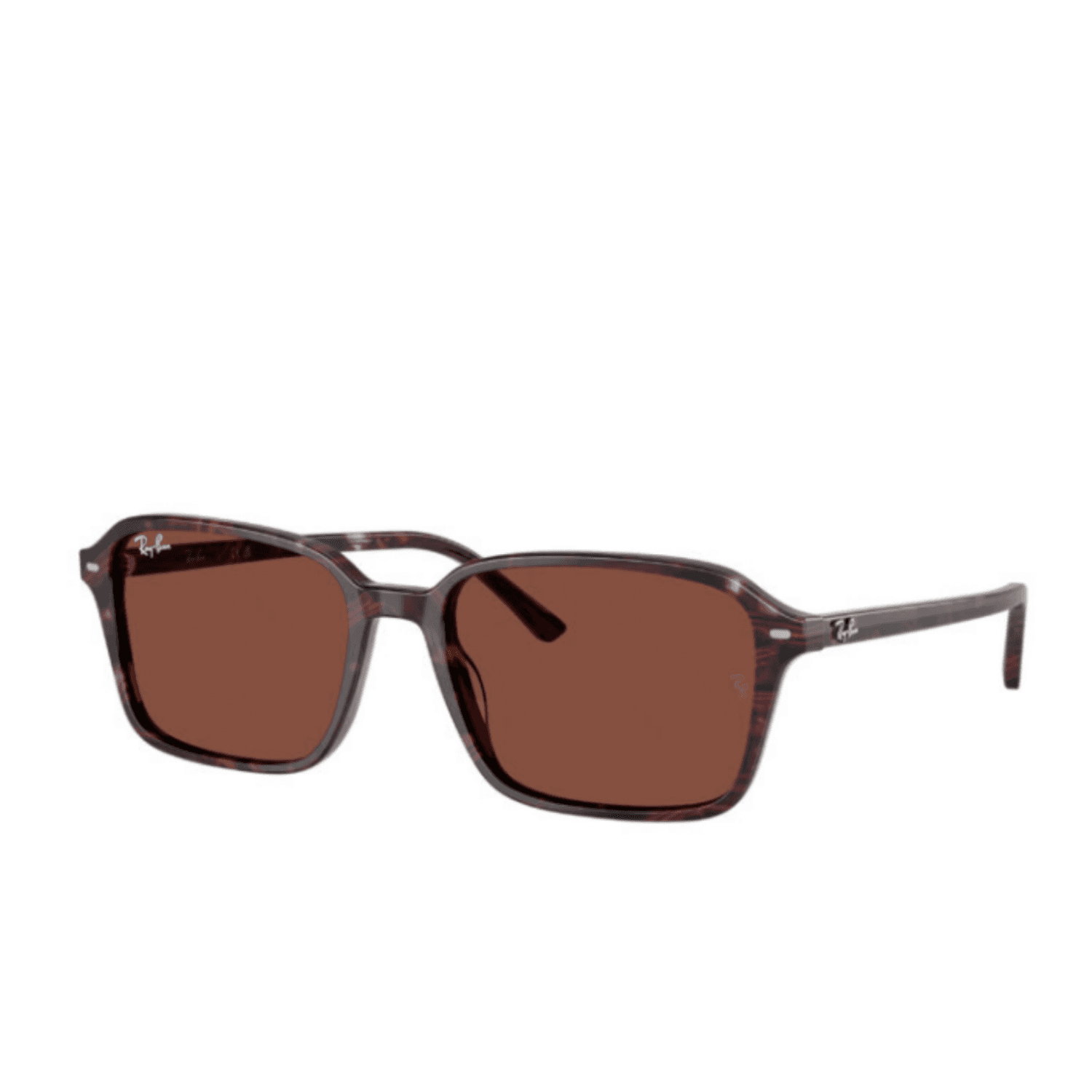 Ray-Ban RB2231