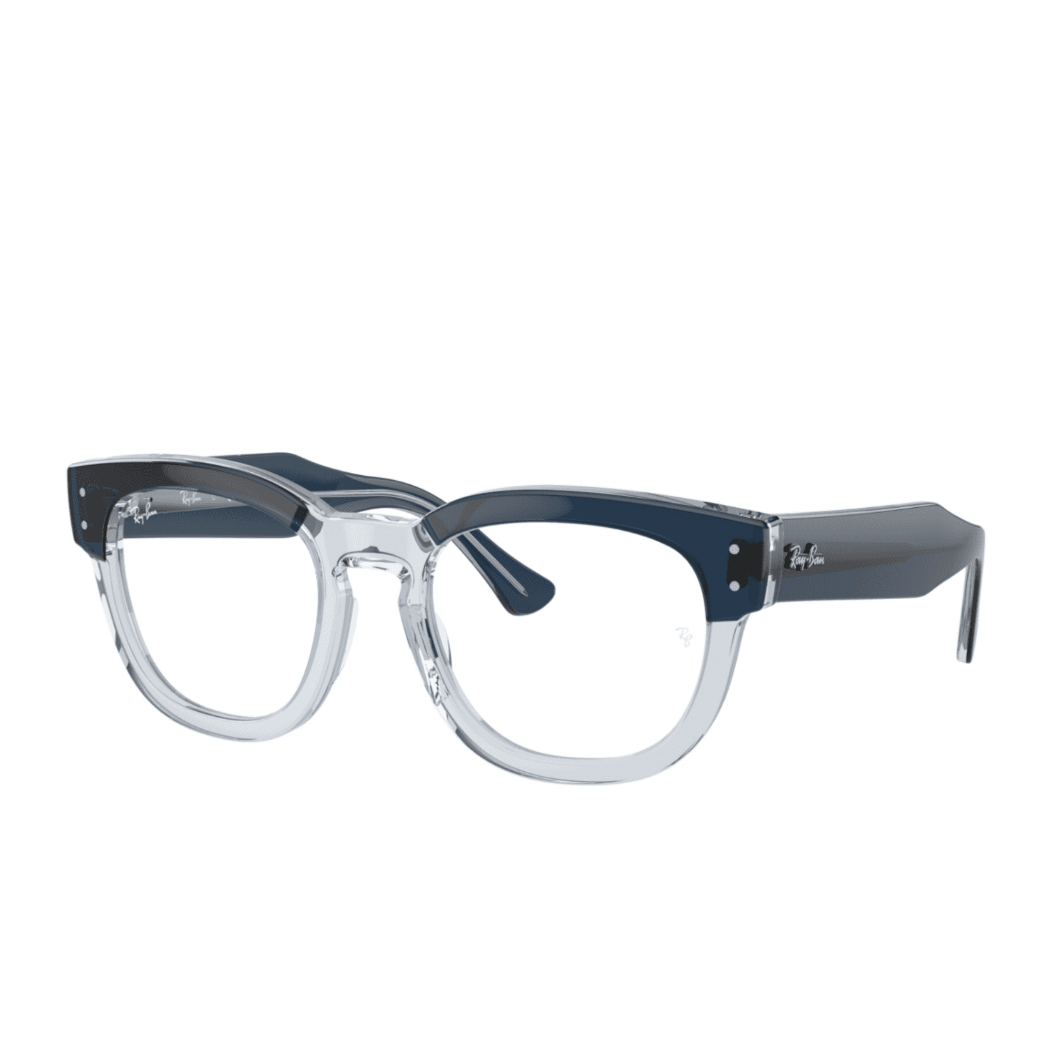 Ray-Ban RX0298V